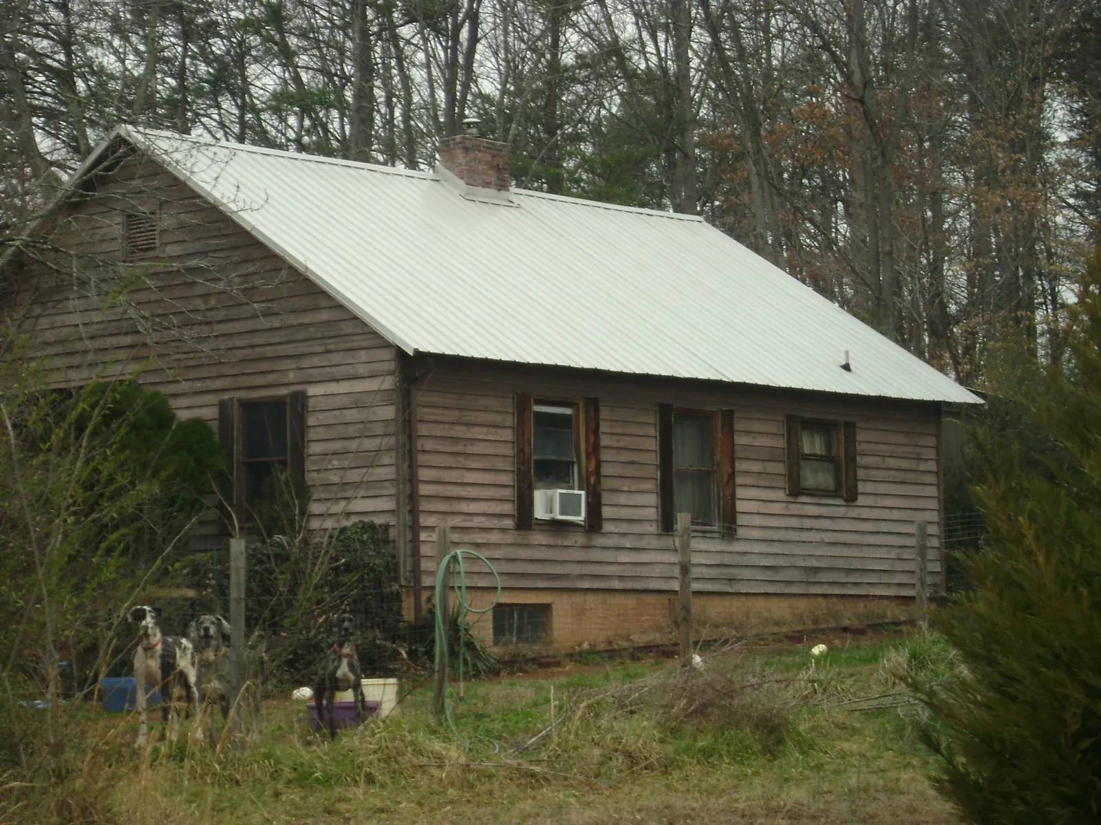 White metal roof on an old wood sided farmhouse, from a Asphalt Shingle Roof Repair job in Madison